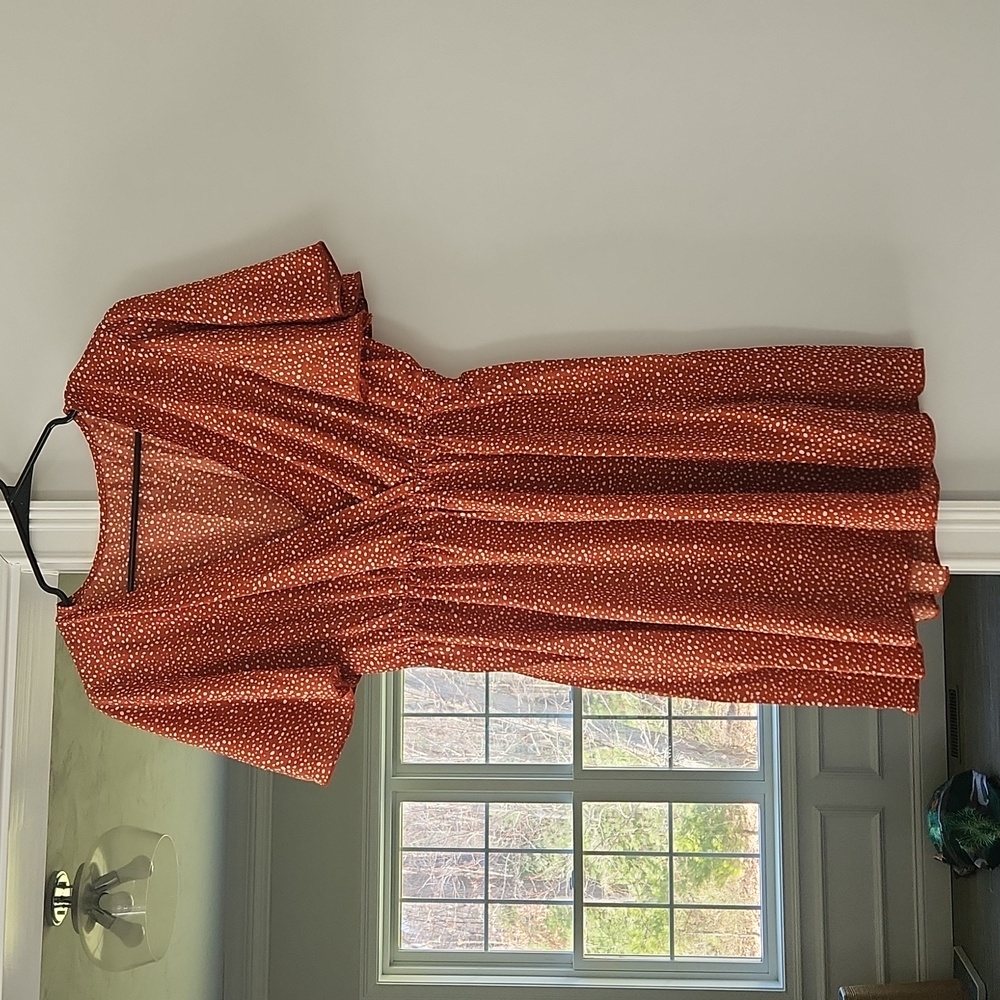Burnt orange/red dress with tiny white polka dots.  Size Medium